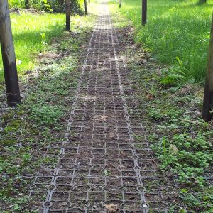 2011-08-12-10-58-45-2