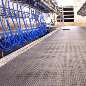 Rubber voor in de melkstal1