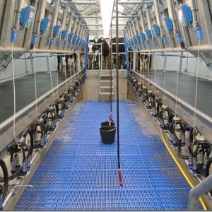 Aanzicht melkput in melkstal