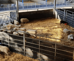 Stokbord® Sheet platen