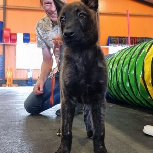 Antislip rubbervloer voor de hond